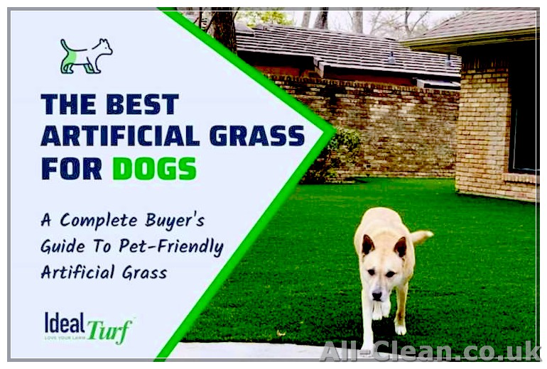 Artificial Grass for Dogs: The Ultimate Guide