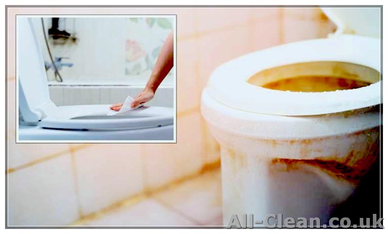 Lift ‘yellow’ toilet seat stains in 10 minutes with ‘amazing’ 90p item - ‘no scrubbing’