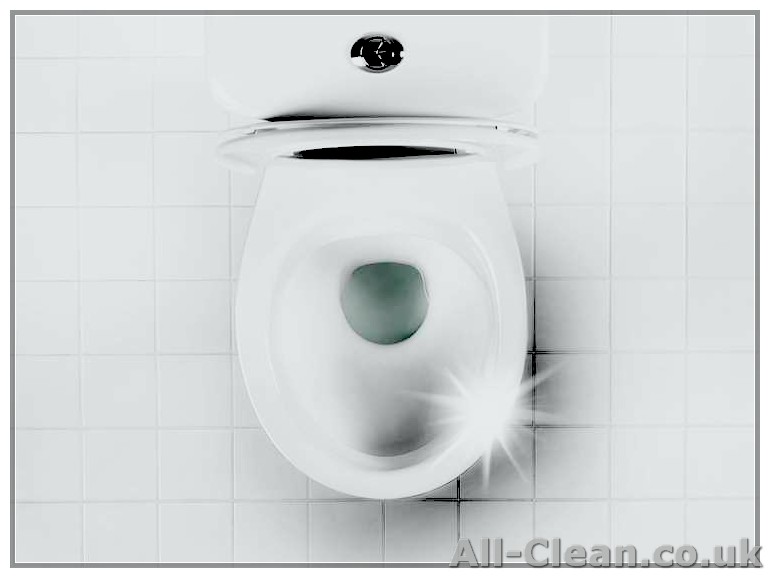 Easiest Way to Remove Yellow Toilet Seat Stains: Mrs. Hinch Fans Share Budget-Friendly Solution