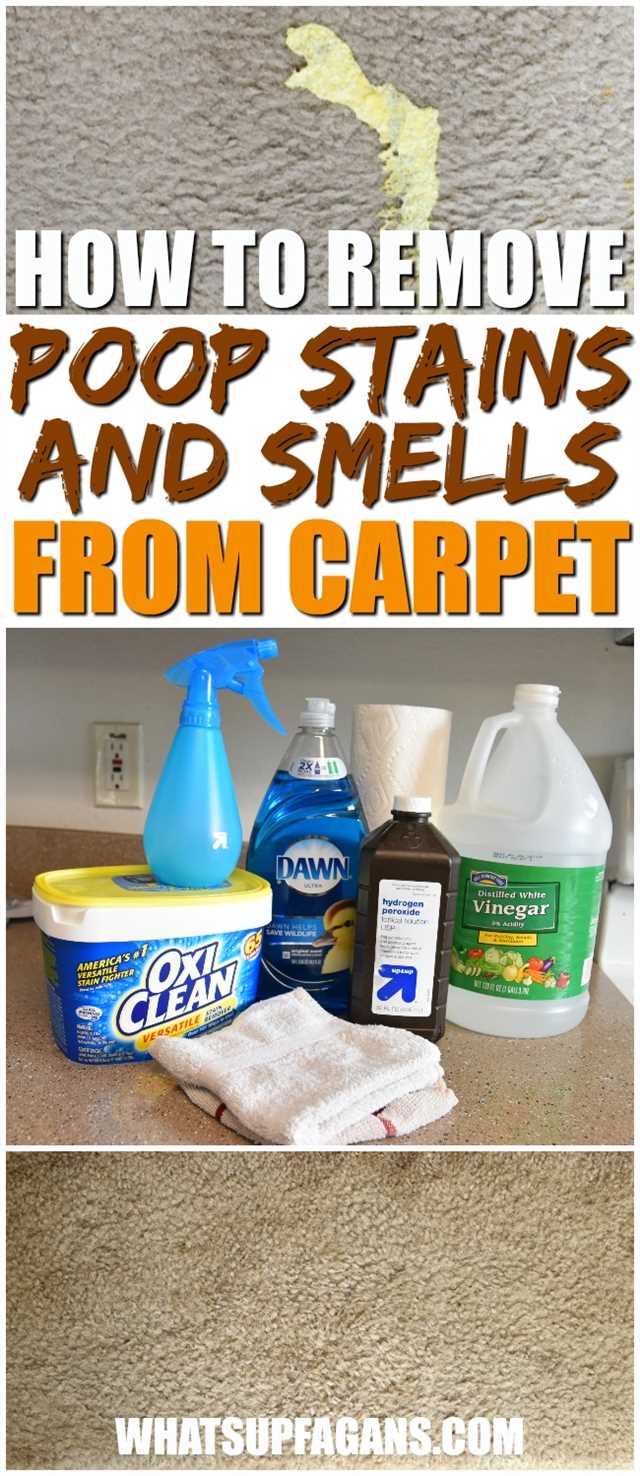 Effective Methods for Removing Pet Poop Stains from Carpet