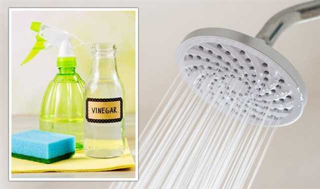 Fans Share 29p Hack to Easily Remove Shower Hose Limescale