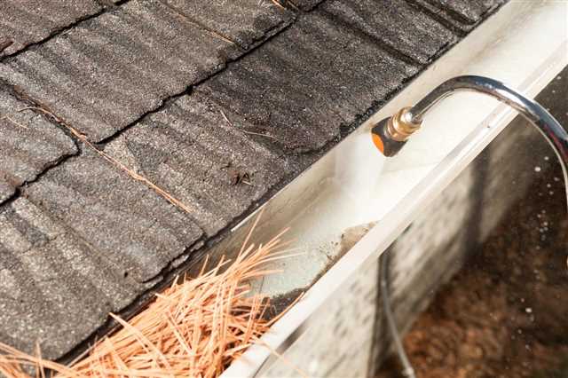 Gutter Cleaning Costs in 2023