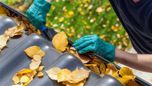 Save Time and Stay Safe with Professional Gutter Cleaning