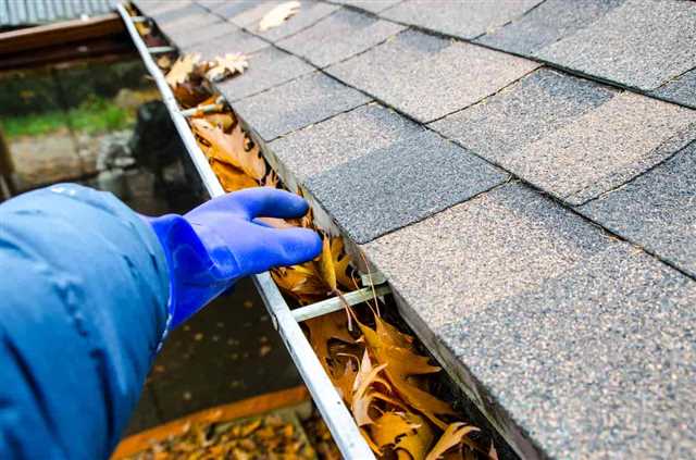 Gutters and Roof Cleaning