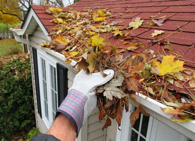 Gutters and roof cleaning