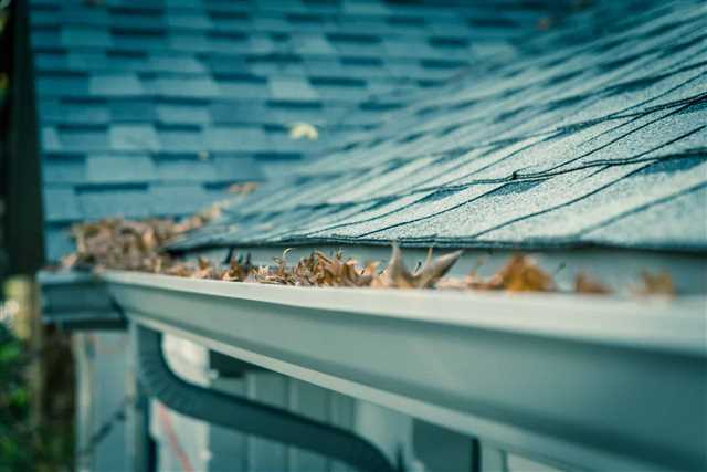 How much is gutter cleaning