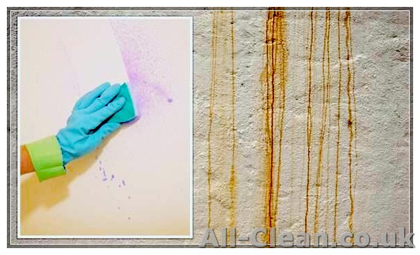 How to Clean Walls Without Removing Paint - Easy Way to Ensure Your Walls Aren’t Damaged