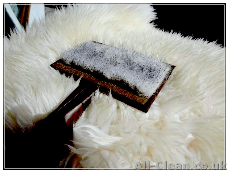 How to Wash a Sheepskin: Learn the Easiest Method