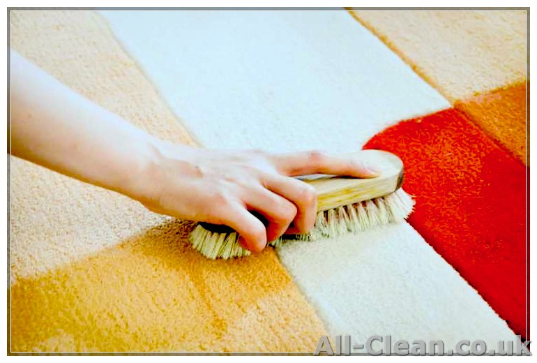 Quick and Easy Ways to Remove Milk Stains From Your Carpet