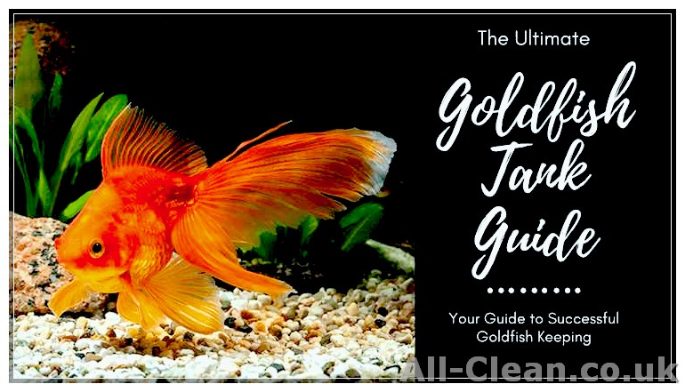 Step-by-Step Guide: Cleaning a Goldfish Aquarium