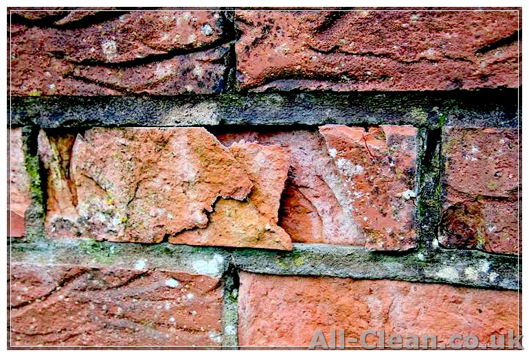 Step-by-Step Guide: How to Restore and Clean Bricks Outside