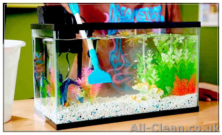 Step-by-Step Guide on Cleaning Aquarium Ornaments and Plastic Plants