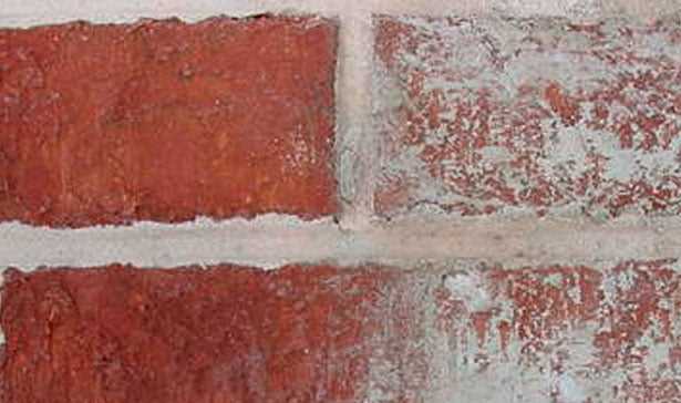 Step-by-Step Guide on How to Clean Brick | Get Your Brick Surface Sparkling Clean