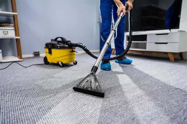 Factors that Impact the Cost of Professional Carpet Cleaning
