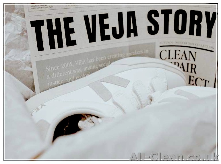 The Ultimate Guide on How to Clean Veja Shoes like a Pro