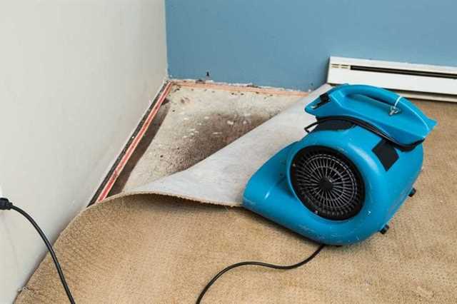 Tips for Drying Your Wet Carpet Fast and Effectively