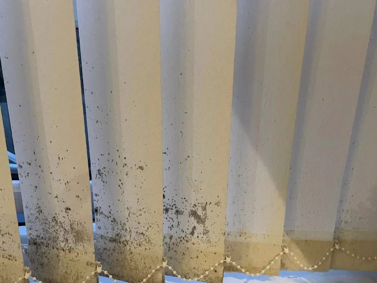 ‘Works a treat’ Mrs Hinch fans share ‘easiest’ way to clean vertical blinds - top tips